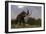 Mammoth Walking in Nature by Day-Stocktrek Images-Framed Premium Giclee Print