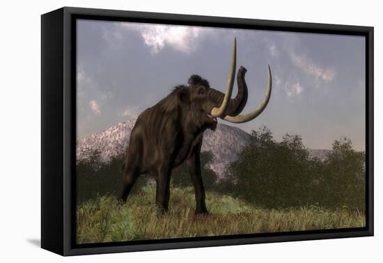 Mammoth Walking in Nature by Day-Stocktrek Images-Framed Stretched Canvas