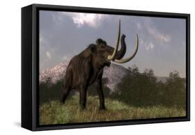 Mammoth Walking in Nature by Day-Stocktrek Images-Framed Stretched Canvas