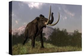 Mammoth Walking in Nature by Day-Stocktrek Images-Stretched Canvas