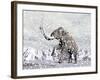 Mammoth Walking Through a Blizzard on Mountain-null-Framed Art Print