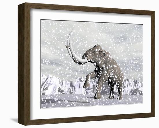 Mammoth Walking Through a Blizzard on Mountain-null-Framed Art Print