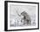 Mammoth Walking Through a Blizzard on Mountain-null-Framed Art Print