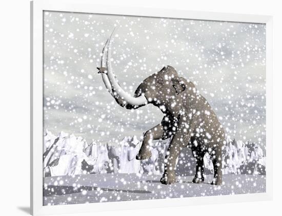 Mammoth Walking Through a Blizzard on Mountain-null-Framed Art Print