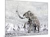 Mammoth Walking Through a Blizzard on Mountain-null-Mounted Art Print