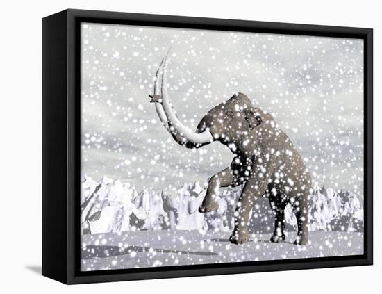 Mammoth Walking Through a Blizzard on Mountain-null-Framed Stretched Canvas