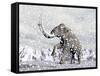 Mammoth Walking Through a Blizzard on Mountain-null-Framed Stretched Canvas