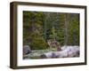 mammoth yosemite-0282-Jeff Poe-Framed Photo