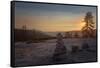 mammoth yosemite-1177-Jeff Poe-Framed Stretched Canvas