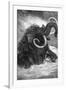 Mammoth-null-Framed Giclee Print