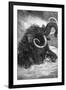 Mammoth-null-Framed Giclee Print