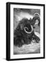 Mammoth-null-Framed Giclee Print