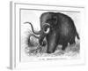 Mammoth-null-Framed Giclee Print