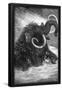 Essential Black