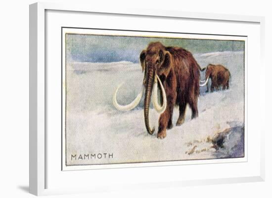 Mammothus Primigenius-null-Framed Art Print