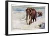 Mammothus Primigenius-null-Framed Art Print