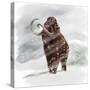 Mammuthus Primigenius Walking Through a Blizzard-Stocktrek Images-Stretched Canvas