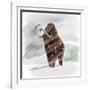 Mammuthus Primigenius Walking Through a Blizzard-Stocktrek Images-Framed Art Print