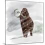 Mammuthus Primigenius Walking Through a Blizzard-Stocktrek Images-Mounted Art Print