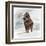 Mammuthus Primigenius Walking Through a Blizzard-Stocktrek Images-Framed Art Print