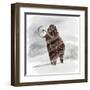 Mammuthus Primigenius Walking Through a Blizzard-Stocktrek Images-Framed Art Print