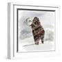 Mammuthus Primigenius Walking Through a Blizzard-Stocktrek Images-Framed Art Print