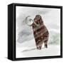 Mammuthus Primigenius Walking Through a Blizzard-Stocktrek Images-Framed Stretched Canvas