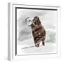 Mammuthus Primigenius Walking Through a Blizzard-Stocktrek Images-Framed Art Print