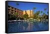 Mamounia Hotel, Marrakech, Morocco, North Africa, Africa-Neil Farrin-Framed Stretched Canvas