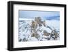 Man admiring the snowy medieval castle of Rocca Calascio after heavy snowfall, Rocca Calascio-Paolo Graziosi-Framed Photographic Print