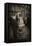 Man Advertising Christianity-Tim Kahane-Framed Stretched Canvas