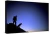 Man and Dog Backpacking Near Lake Tahoe, California-Justin Bailie-Stretched Canvas