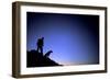 Man and Dog Backpacking Near Lake Tahoe, California-Justin Bailie-Framed Photographic Print