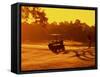 Man and Golf Cart Silhouetted at Sunset-Bill Bachmann-Framed Stretched Canvas