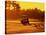 Man and Golf Cart Silhouetted at Sunset-Bill Bachmann-Stretched Canvas