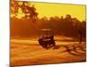 Man and Golf Cart Silhouetted at Sunset-Bill Bachmann-Mounted Photographic Print