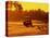 Man and Golf Cart Silhouetted at Sunset-Bill Bachmann-Stretched Canvas