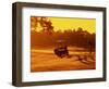 Man and Golf Cart Silhouetted at Sunset-Bill Bachmann-Framed Photographic Print