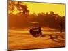 Man and Golf Cart Silhouetted at Sunset-Bill Bachmann-Mounted Photographic Print