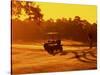 Man and Golf Cart Silhouetted at Sunset-Bill Bachmann-Stretched Canvas