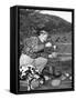 Man and His Dog Camping and Preparing Food-null-Framed Stretched Canvas