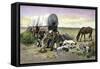 Man and His Dogs Camped by their Covered Wagon on the Great Plains-null-Framed Stretched Canvas