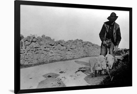 Man and His Pigs-null-Framed Art Print