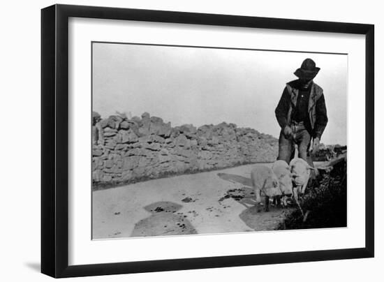 Man and His Pigs-null-Framed Art Print