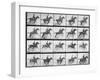 Man and Horse Jumping a Fence, Plate 640 from Animal Locomotion, 1887-Eadweard Muybridge-Framed Giclee Print