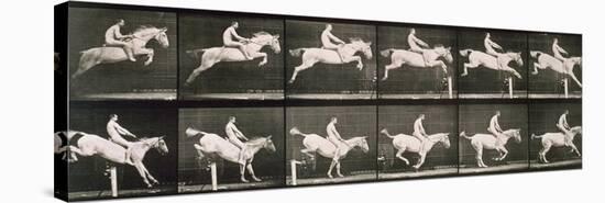 Man and horse jumping a fence, plate 643 from 'Animal Locomotion', 1887-Eadweard Muybridge-Stretched Canvas