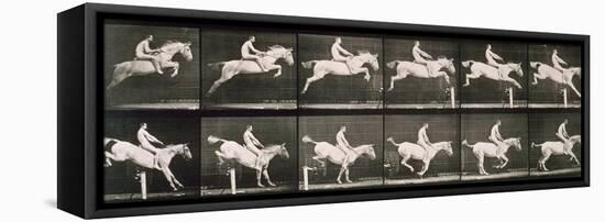 Man and horse jumping a fence, plate 643 from 'Animal Locomotion', 1887-Eadweard Muybridge-Framed Stretched Canvas