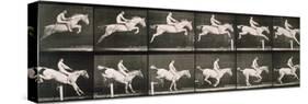 Man and horse jumping a fence, plate 643 from 'Animal Locomotion', 1887-Eadweard Muybridge-Stretched Canvas