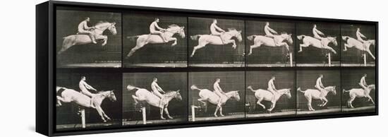 Man and horse jumping a fence, plate 643 from 'Animal Locomotion', 1887-Eadweard Muybridge-Framed Stretched Canvas