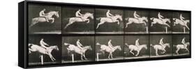 Man and horse jumping a fence, plate 643 from 'Animal Locomotion', 1887-Eadweard Muybridge-Framed Stretched Canvas